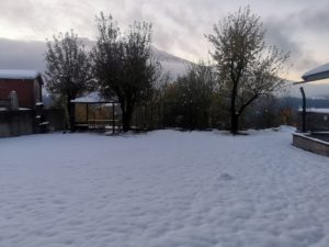 IMG_20201027_171804