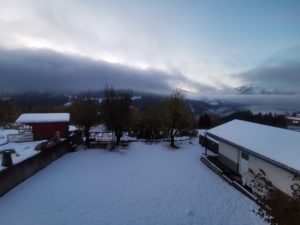 IMG_20201027_172426